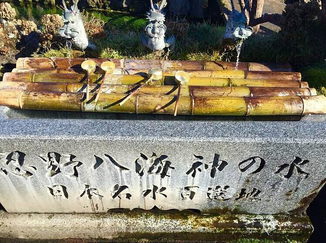 1627462583418660.jpg 4.jpg