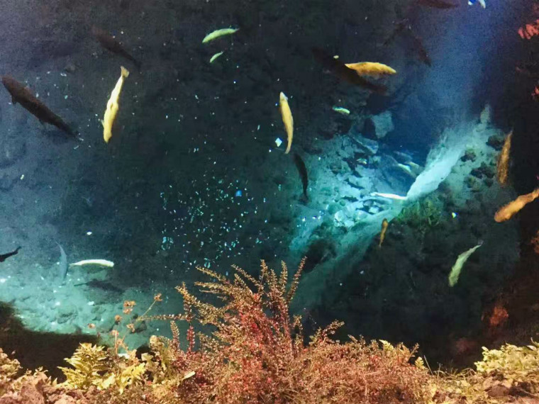 1627462589211013.jpg 5.jpg