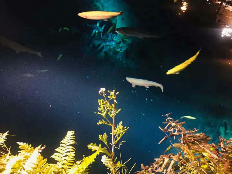 1627462599444566.jpg 7.jpg