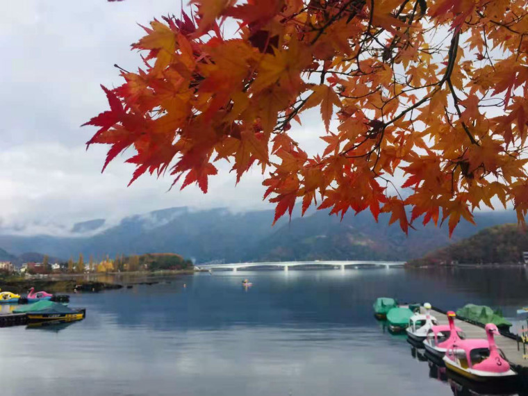 1627462607190645.jpg 8.jpg