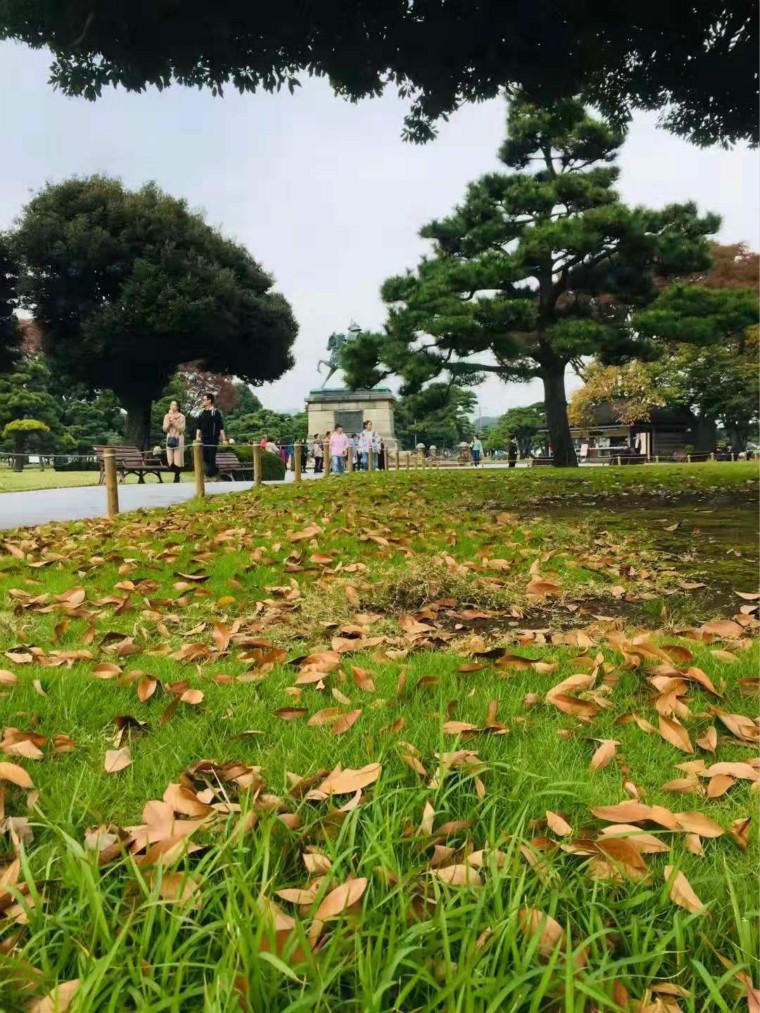 1627462648177519.jpg 13.jpg