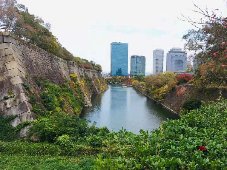 1627462709157103.jpg 19.jpg